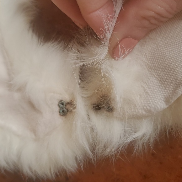 Classic Vintage Elegant White Mink Fur Collar With Fur w Clasp Closure - Picture 4 of 6